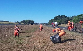 Triunfo Concebra recolhe mais de 40 toneladas de resíduos por mês no trecho de concessão