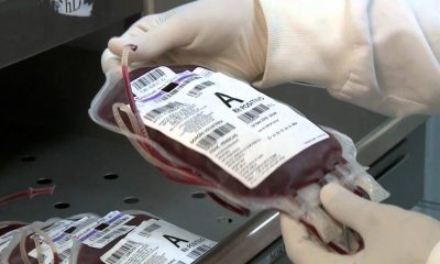 Menos de 2% da população doa sangue no Brasil