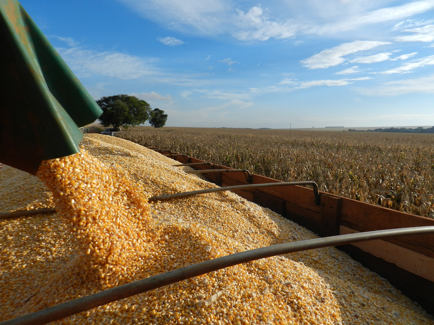 Agronegócio de Minas Gerais encerra o ano com recorde