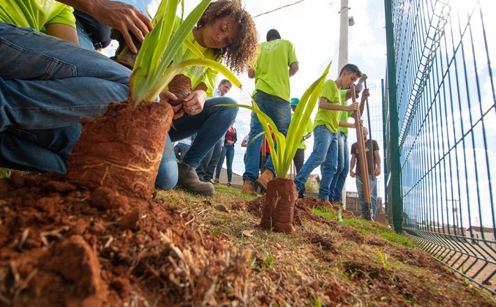 Casa do Pequeno Jardineiro inicia projeto de arborização nas escolas municipais