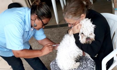 Mais de 15 mil animais são imunizados contra a raiva em Araxá