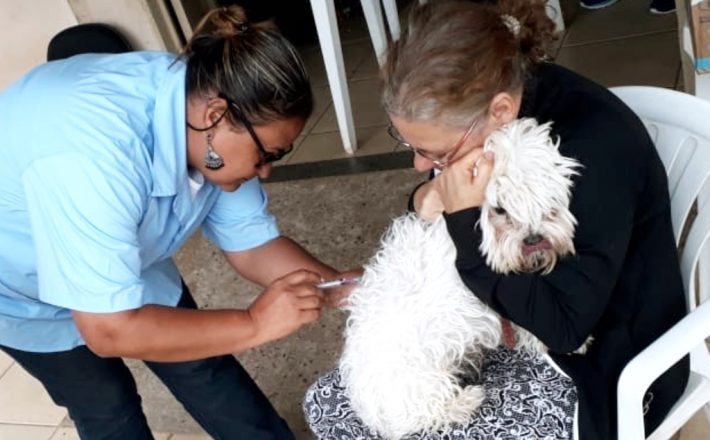 Mais de 15 mil animais são imunizados contra a raiva em Araxá