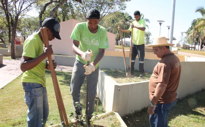 Adolescentes da Casa do Pequeno Jardineiro plantam mudas no Parque do Cristo