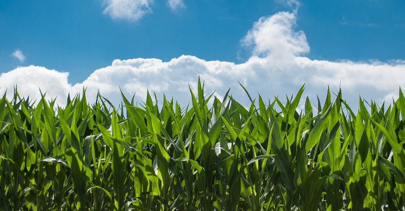 Secretaria de Agricultura lança curso de Zoneamento Ambiental Produtivo (ZAP)