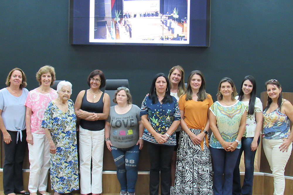 Câmara realiza reunião preparatória para Outorga da Medalha Leonilda Montandon – 2019