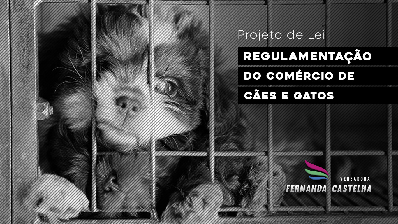 Fernanda Castelha propõe regulamentação do comércio de cães e gatos