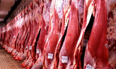 Brasil volta a exportar carne bovina para China