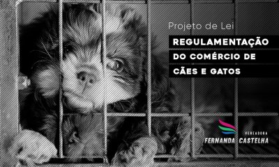 Regulamentação de venda de cães e gatos em Araxá