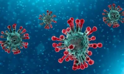 Fapemig apoia pesquisa para desenvolver vacina contra o coronavírus