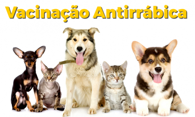Prefeitura programa Campanha de Vacinação Antirrábica Animal na zona rural