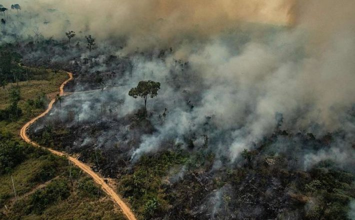 Estado registra redução da área queimada em unidades de conservação