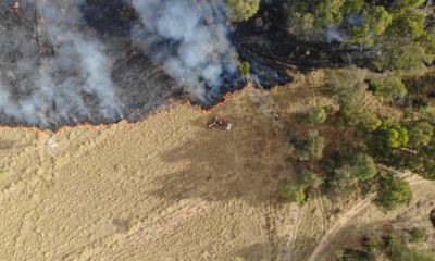 Bombeiros combatem incêndio florestal de grandes proporções em Araxá