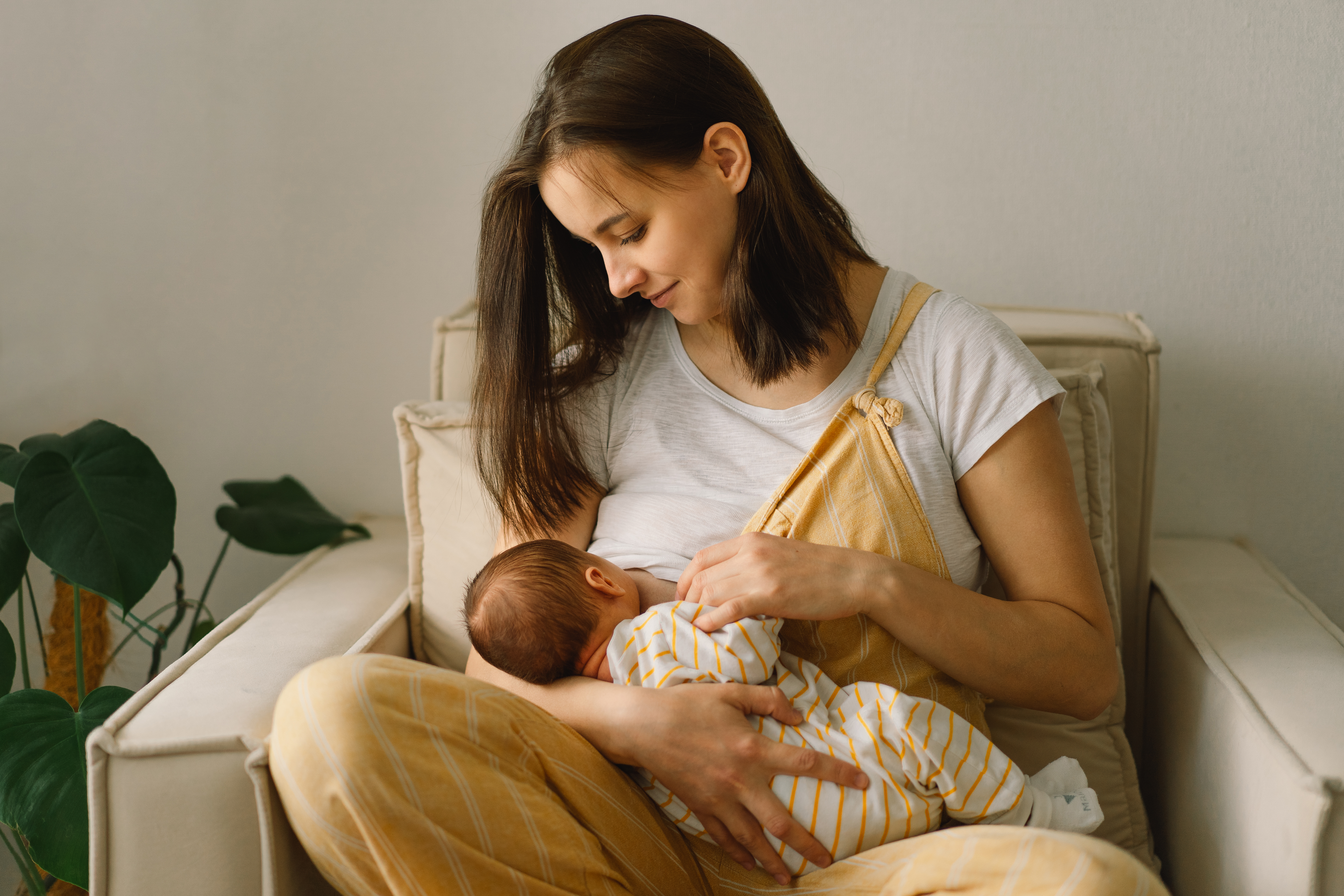 Suporte durante a amamentação é essencial para a mãe e para o bebê