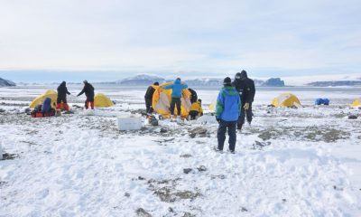 Pesquisadores descobrem incêndios na Antártica há 75 milhões de anos