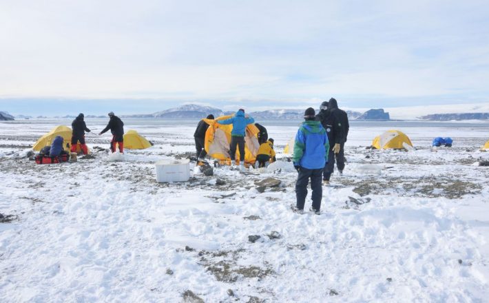 Pesquisadores descobrem incêndios na Antártica há 75 milhões de anos