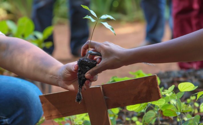 Prefeitura de Araxá promove inscrições para a Casa do Pequeno Jardineiro de 22 de novembro a 3 de dezembro