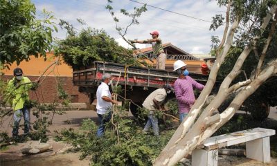 Prefeitura de Araxá monta força-tarefa para atendimento aos danos causados pelo temporal