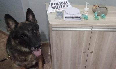 POLÍCIA MILITAR PRENDE AUTOR POR TRÁFICO DE DROGAS EM ARAXÁ/MG