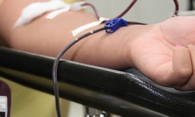 Covid-19: regras para doação de sangue são atualizadas pela Anvisa