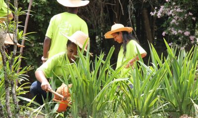 Araxá amplia projeto Casa do Pequeno Jardineiro e divulga lista de aprovados