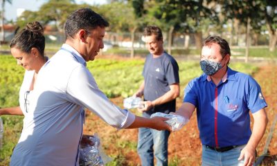 Prefeitura de Araxá e Emater-MG viabilizam distribuição de sementes para agricultores familiares