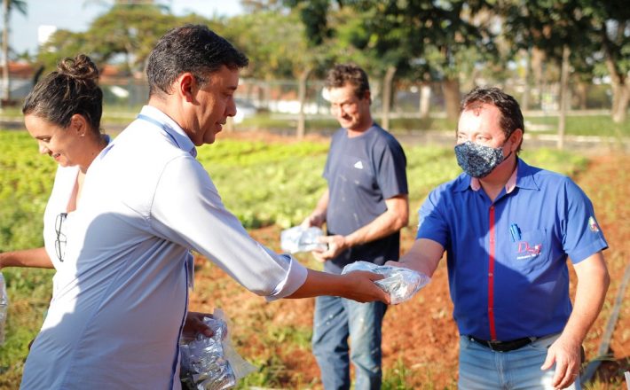 Prefeitura de Araxá e Emater-MG viabilizam distribuição de sementes para agricultores familiares