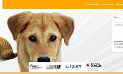Governo de Minas lança sistema estadual de identificação de animais domésticos