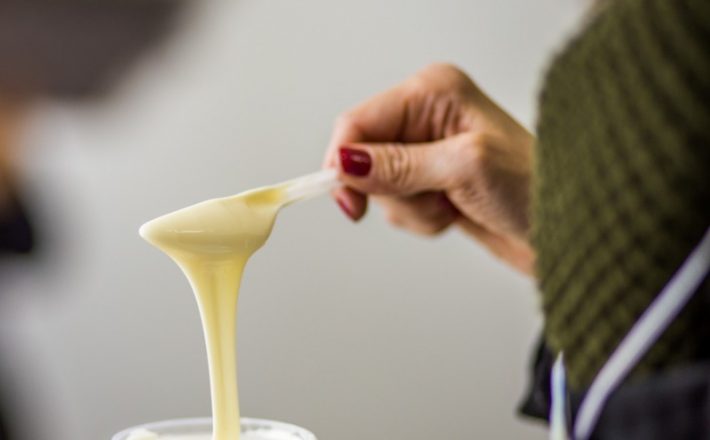 Projeto orientado pela Epamig avalia substituição da gordura do leite por óleo de coco na fabricação do requeijão cremoso