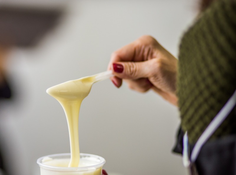 Projeto orientado pela Epamig avalia substituição da gordura do leite por óleo de coco na fabricação do requeijão cremoso
