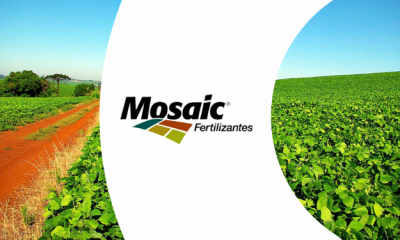 Mosaic Fertilizantes ingressa no mercado de insumos para produção orgânica