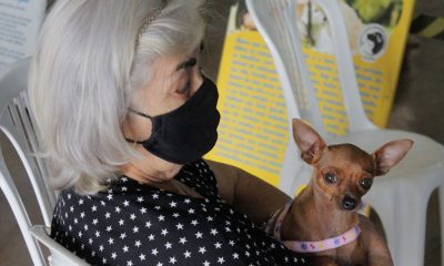 Prefeitura de Araxá atinge marca histórica com a realização de mais de 5.000 castrações de cães e gatos