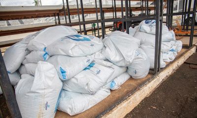 Prefeitura faz a doação de quatro toneladas de adubos para manutenção de campos de futebol na cidade