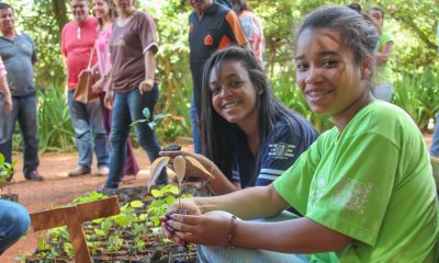 Prefeitura de Araxá prorroga inscrições para o projeto Casa do Pequeno Jardineiro