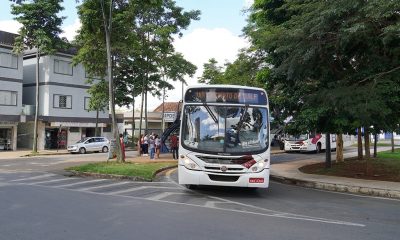 Gratuidade do transporte público coletivo urbano aumenta em 61,5% o número de usuários cadastrados em Araxá
