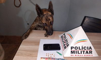 Ocorrências Policiais