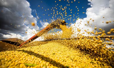 Próximo a atingir um novo recorde, Conab estima produção de grãos em 315,8 milhões de toneladas