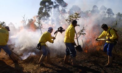 Minas investe em ações de prevenção para combater incêndios florestais