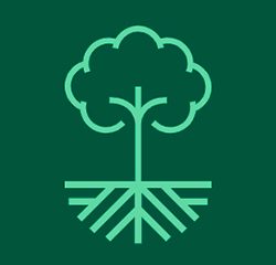 Nova versão da plataforma Selo Verde inclui dados de florestas plantadas em Minas