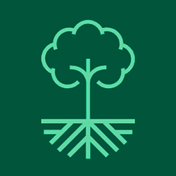 Nova versão da plataforma Selo Verde inclui dados de florestas plantadas em Minas