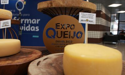 O Brasil no mapa mundial do queijo: maior evento do segmento na América Latina começa nesta quinta (24) em MG