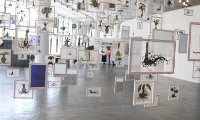 Bienal de São Paulo abre hoje com Coreografias do Impossível