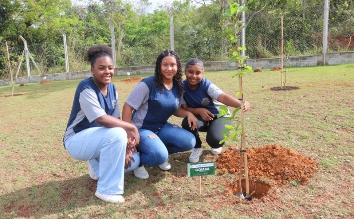 Abertas as inscrições para municípios interessados em participar do Jovens Mineiros Sustentáveis 2024