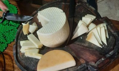 Projeto Queijo Minas Legal já contabiliza mais de 800 visitas técnicas a queijarias de 160 municípios