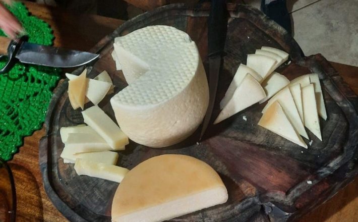 Projeto Queijo Minas Legal já contabiliza mais de 800 visitas técnicas a queijarias de 160 municípios