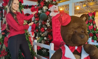 FestNatal: fim de semana tem Papai Noel e grandes shows