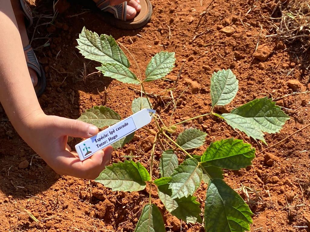 Araxá recebe mais de 3.500 árvores em 2023